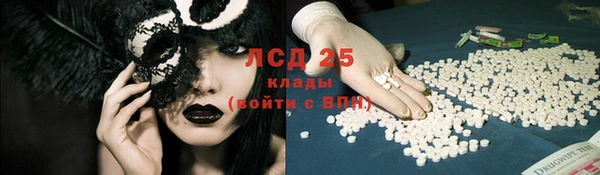 стафф Аркадак