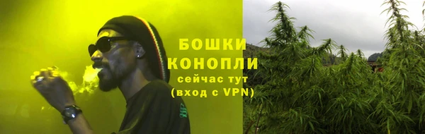 стафф Аркадак