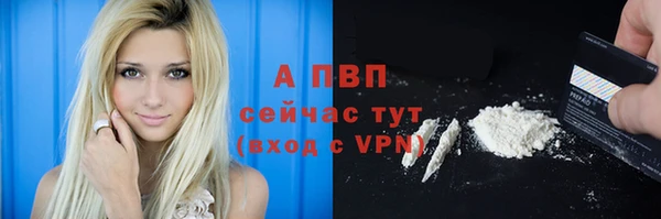 стафф Аркадак