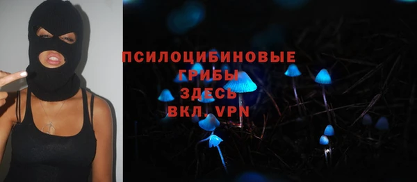 spice Арсеньев