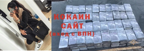 стафф Аркадак