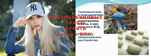 spice Арсеньев